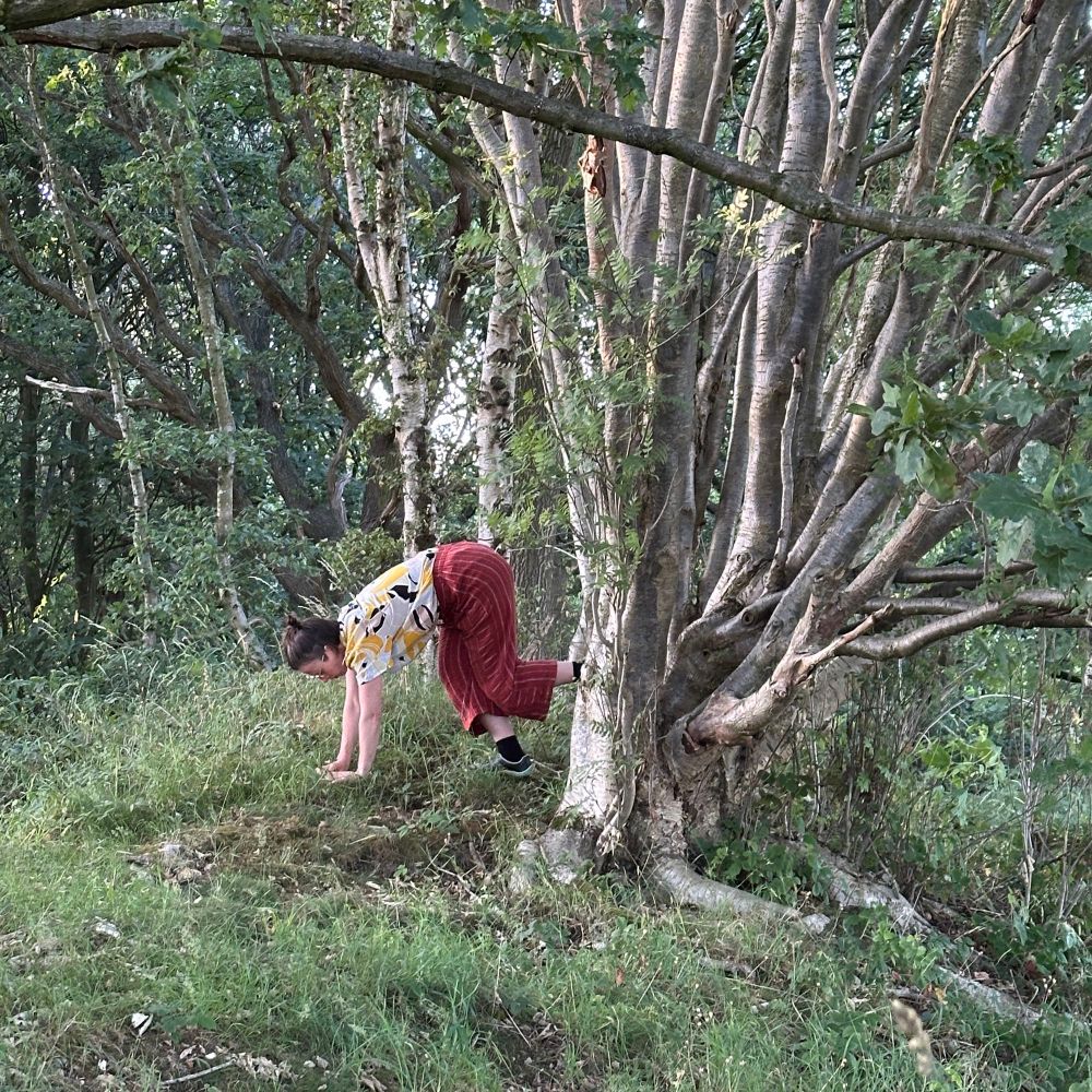 Scarlet improvising movement with a rowan 