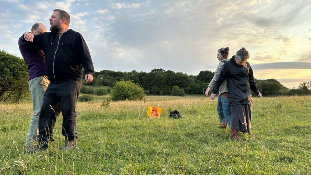 Four people practicing movement improvisation in a field. There are trees in the background and the sky is turning towards sunset