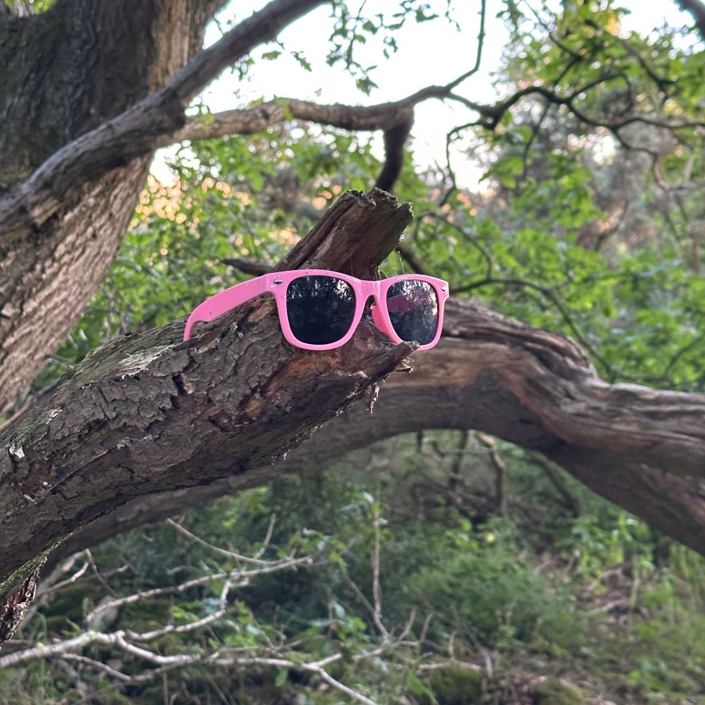 Found pink sunglasses on a branch stub
