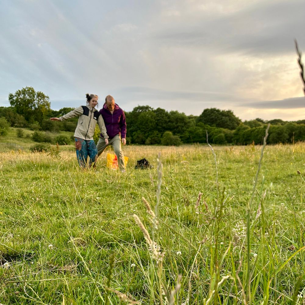 Two people practicing movement improvisation in a field. Their shoulders are touching and their centre of gravity is low to the ground. The light is golden and there are strands of long grass in the foreground