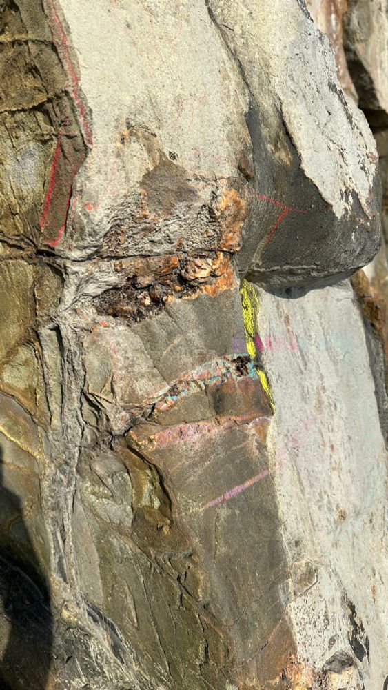 Photograph of a rock face on which somebody has drawn in colour pencils, highlighting natural features of the rock in vivid colour