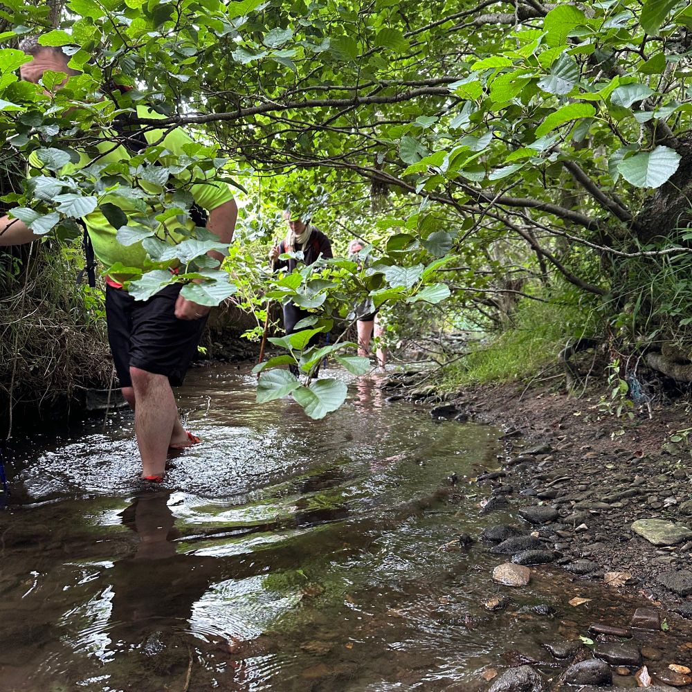 Beneath alder, between high banks