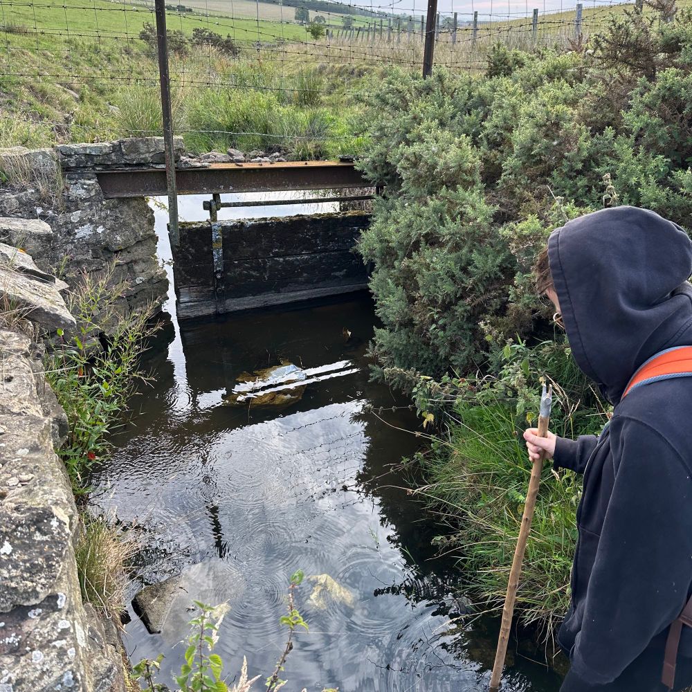 Natural spring, old sluice