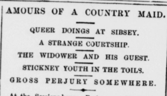 Amours of a Country Maid. Queer doings at Sibsey. A strange courtship. The widower and his guest. Stickney youth in the toils. Gross perjury somewhere. 