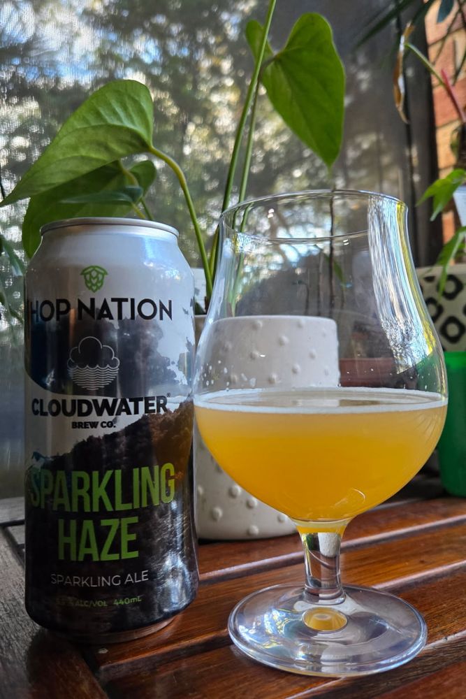 Photo of a glass of beer and the can it was poured from.