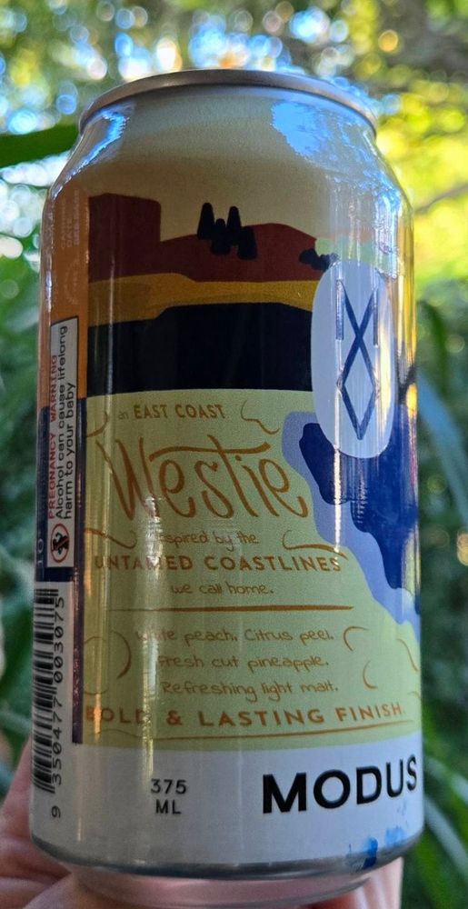 Photo of the back of the can.
