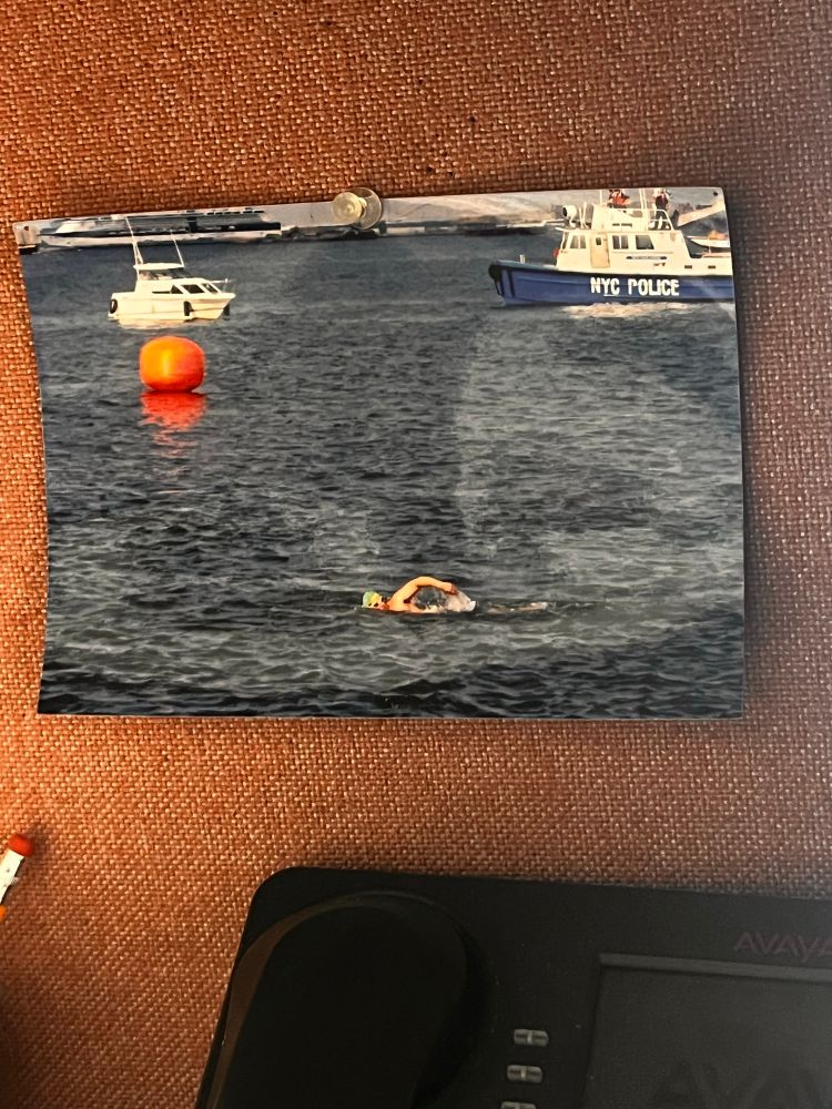 An apparently normal human is swimming in NY Harbor