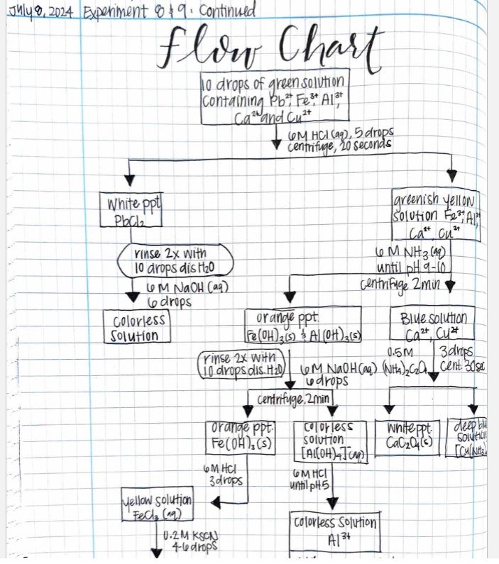 Pictured: one of my student’s hand-drawn flowcharts from her lab notebook