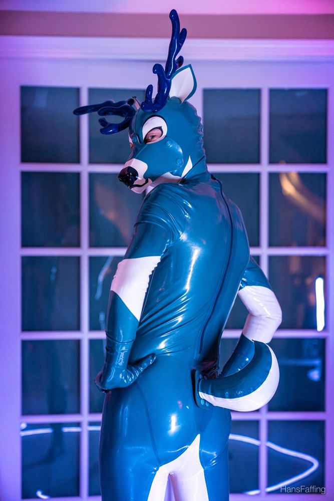 Rubber deer in blue and white showing off his rubber nub tail. 