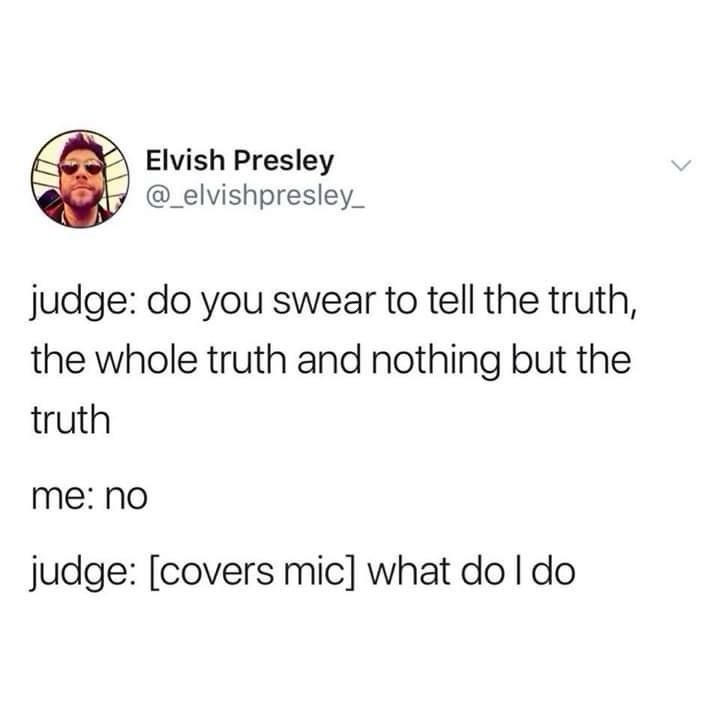 Judge: do you swear to tell the truth, the whole truth and nothing but the truth?
Me: no
Judge: [covers mic] what do I do 
