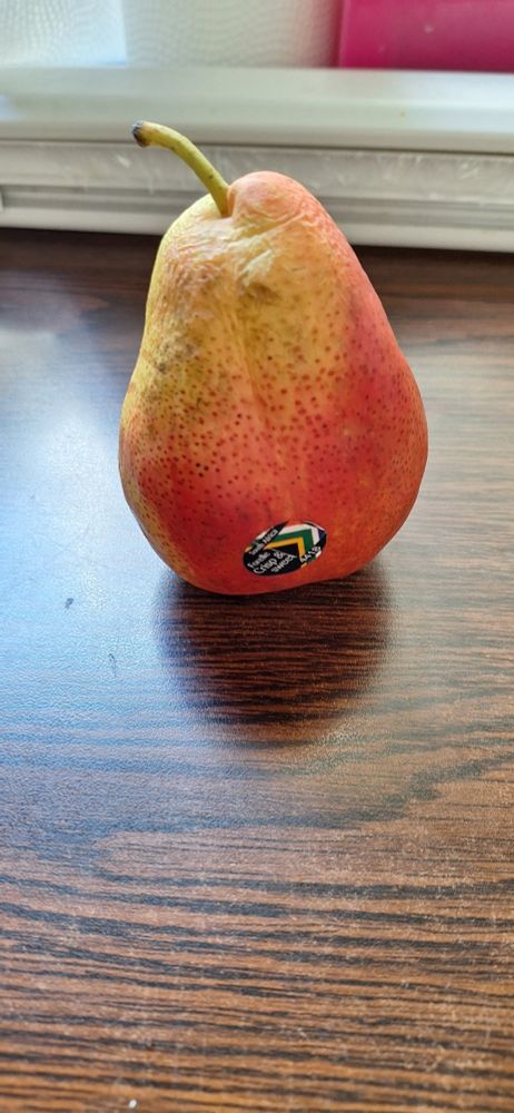 A pear resembling an apple on a kitchen table.