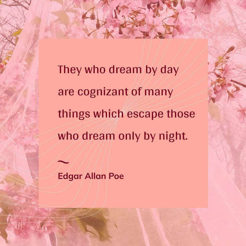 Quote panel with pink floral background: "They who dream by day are cognizant of things which escape those who dream only by night." --Edgar Allan Poe