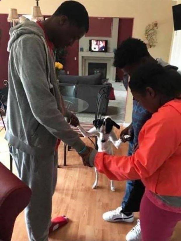 a few people +1 dog joining their hands in a prayer circle