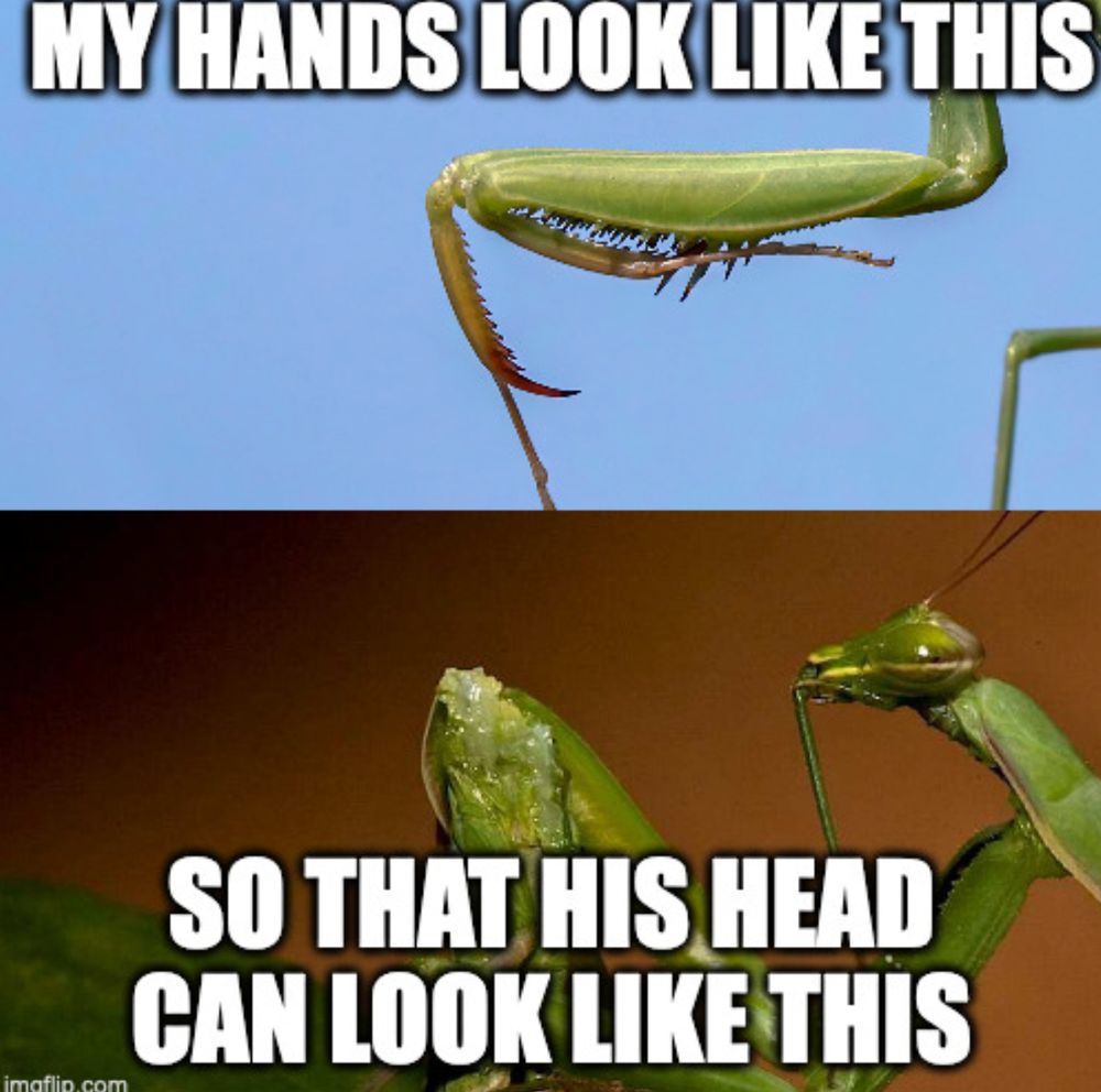 Comment image