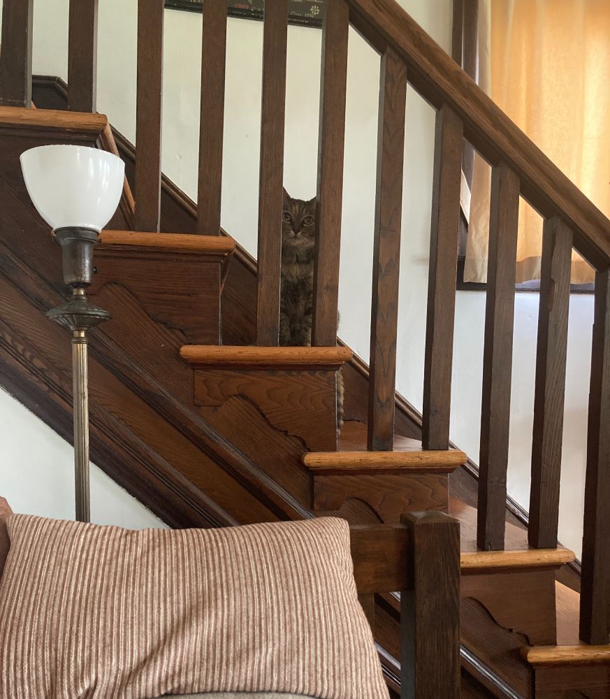 Cat behind banister in living room setting. Striped pillow and antique lamp in foreground.