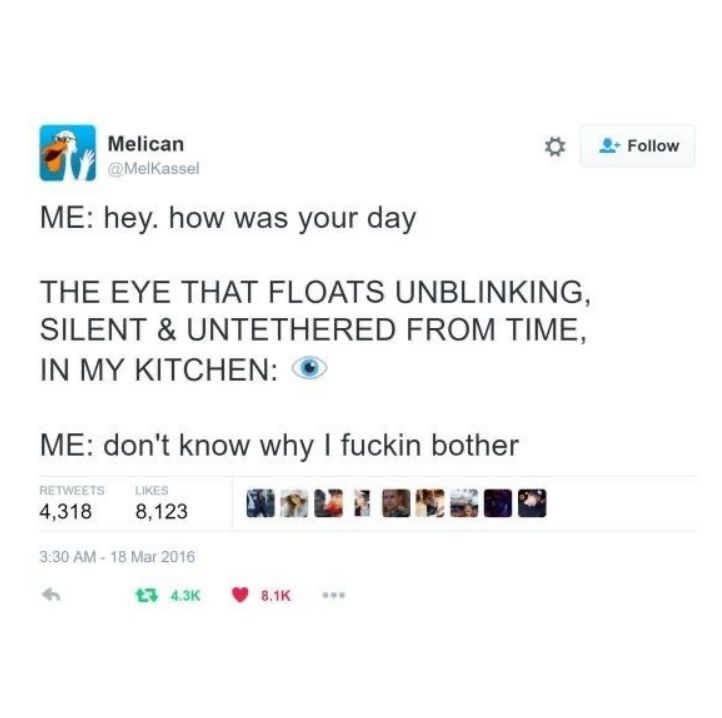 A screenshot of a tweet by @MelKassel. The tweet reads: 
ME: hey. how was your day
THE EYE THAT FLOATS UNBLINKING, SILENT & UNTETHERED FROM TIME, IN MY KITCHEN: 👁️
ME: don't know why I fuckin bother 