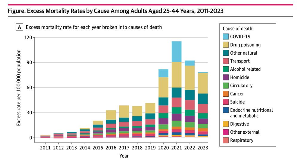 Bar chart showing excess mortality of Americans aged 25-44, in 2011-2023, broken into causes of death. The chart shows a big growth over time, especially from drug deaths, "other natural causes," and transport-related deaths (car collisions), as well as from Covid-19 in 2021.