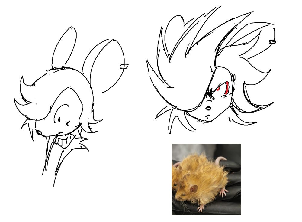 Sona sketch on the left, Sona sketch of a transformation inspired by the Woolly mouse on the right.