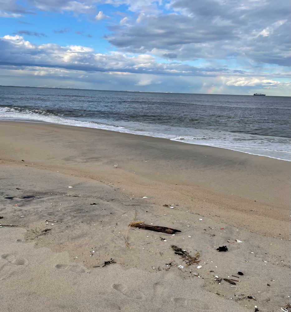 A tiny piping plover on an expanse of sand in the intertidal zone. There is a ship in the distance and bit of a rainbow on the horizon. 