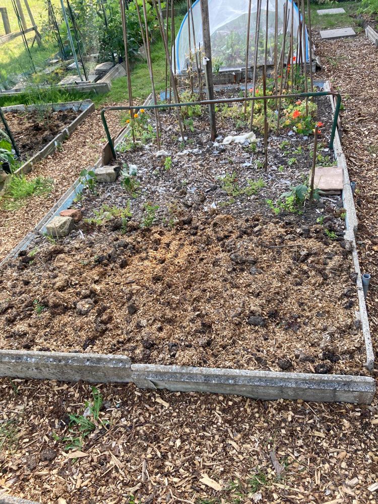 Bean bed