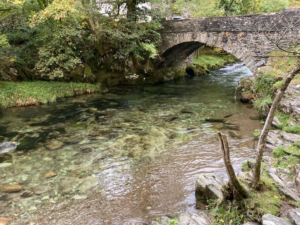 Gently flowing stream