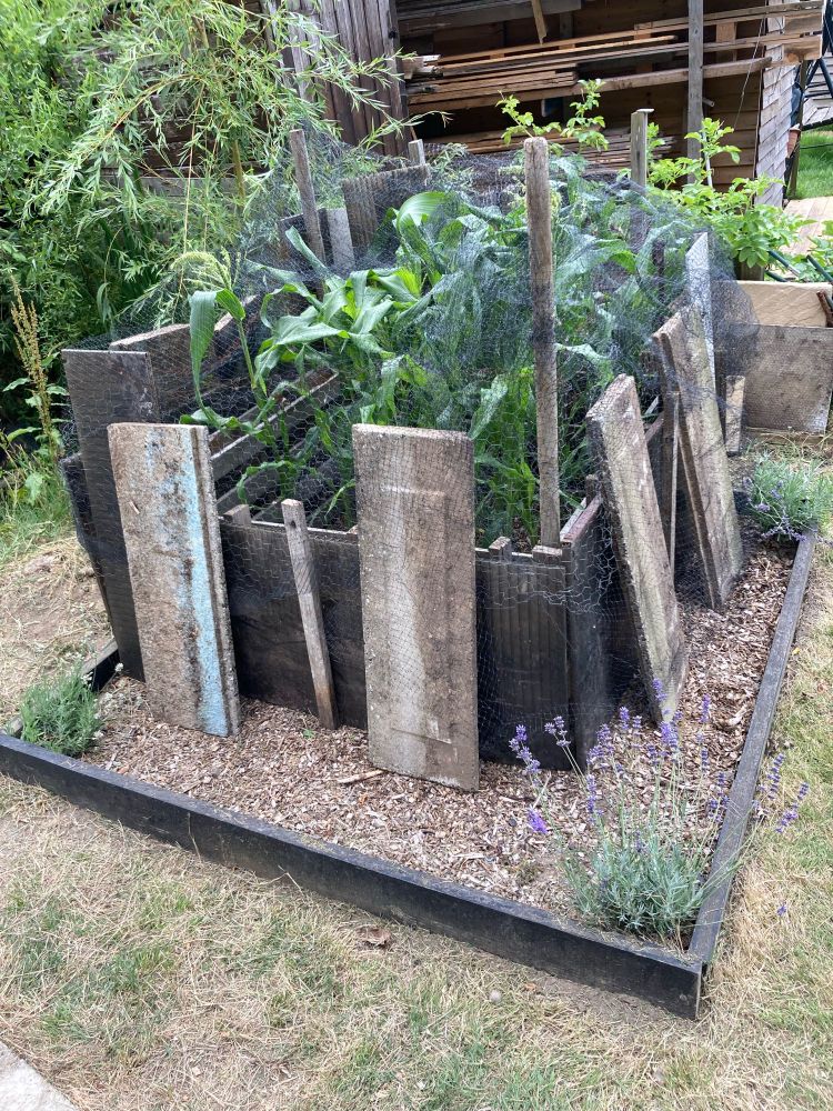 Fort Sweetcorn 
