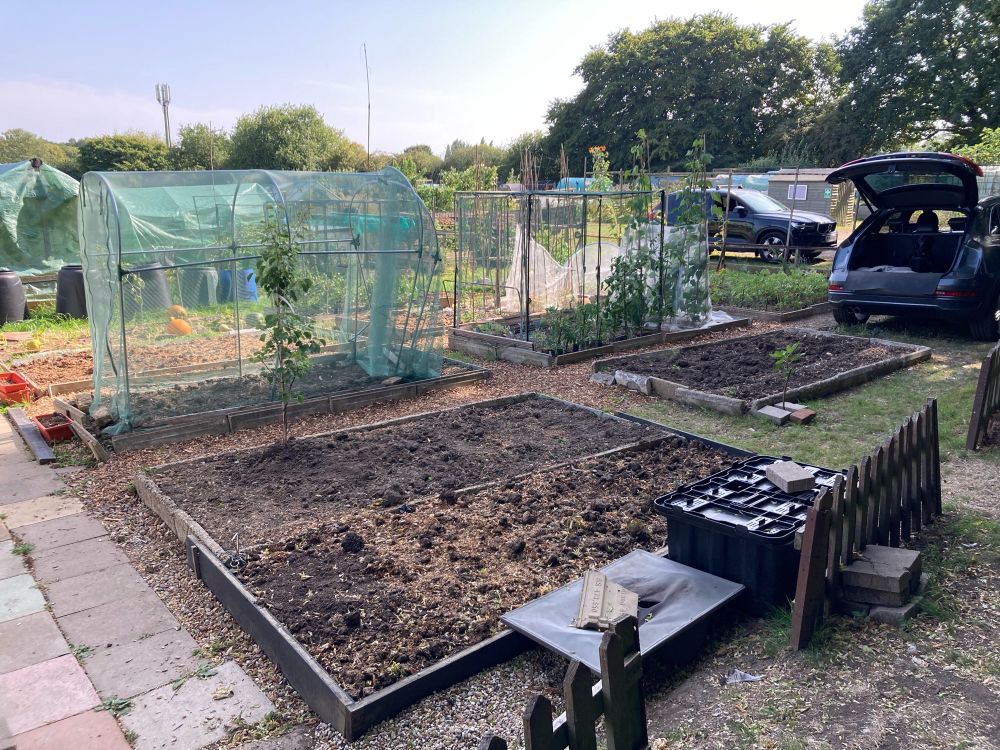 Allotment 