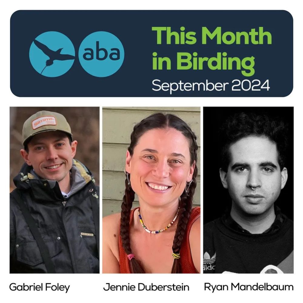 08-39: This Month in Birding- September 2024 - American Birding Association