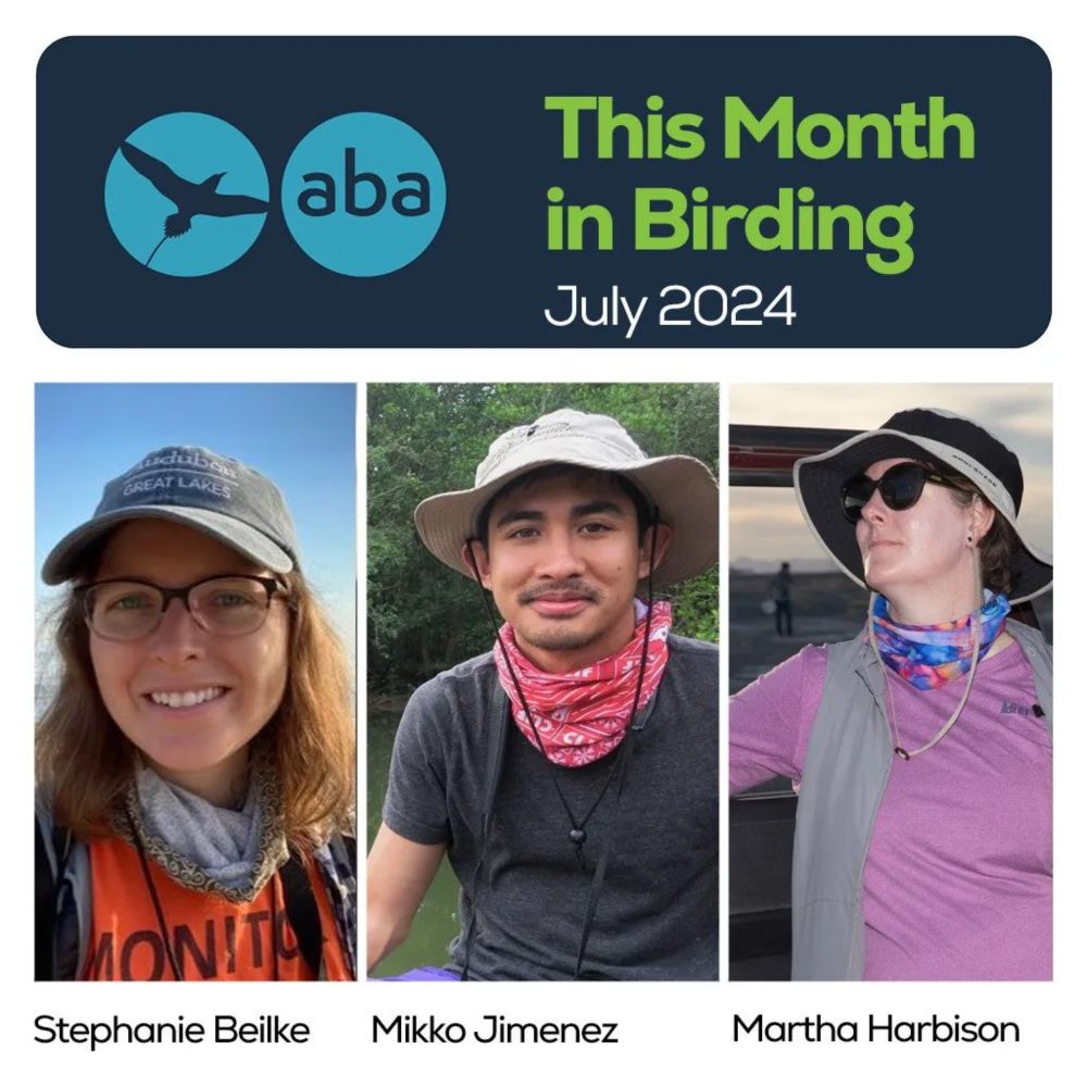 08-30: This Month in Birding - July 2024 - American Birding Association