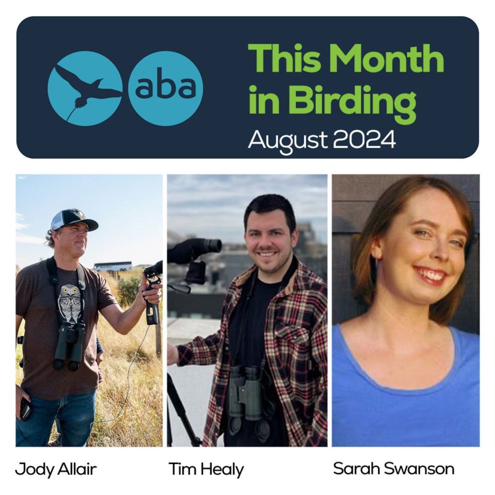 08-35: This Month in Birding - August 2024 - American Birding Association