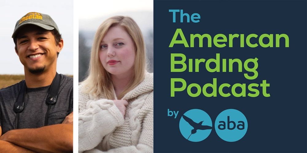 08-34: Figuring out Flamingos with Amy Davis and José Ramirez-Garafalo - American Birding Association