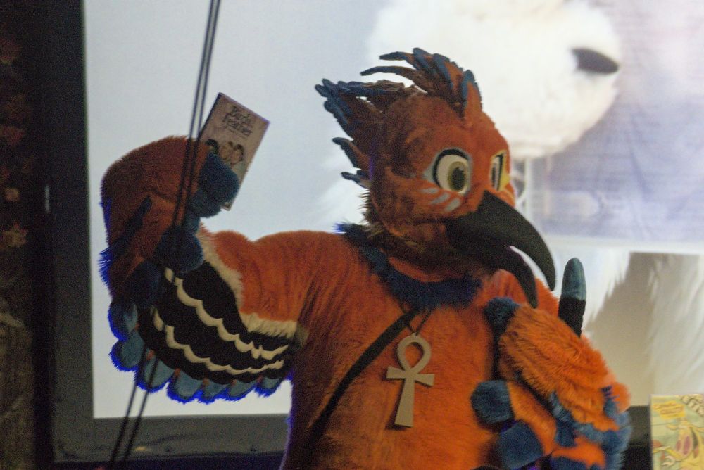 An orange and blue tipped bird with a long beak holding up a dvd copy of the series "Birds Of A Feather" in his left hand and pointing to himself with the right. 