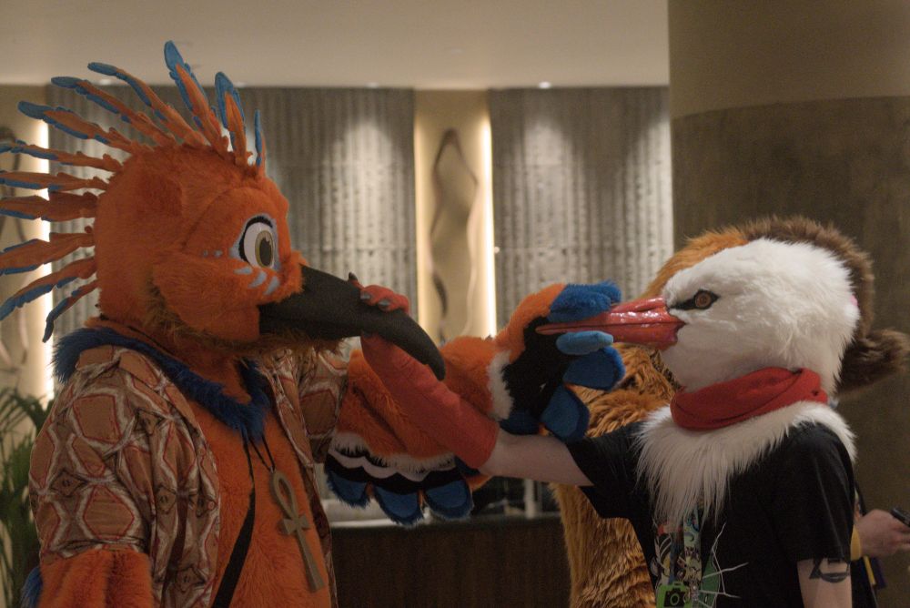 An orange Hoopoe with blue highlights bird on the left and a white stork with a red scarf both using one arm each to hold the other's beak. 