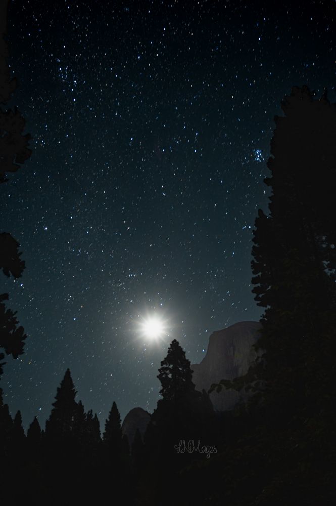 Half dome against the night sky framed with trees that are black in the darkness of night. The moon illuminates half dome enough to see it. You can see the moon and tons of stars, planets etc. Yosemite CA #forest #yosemite #nationalparks #longexposure #starlight #mountains #constellations #art