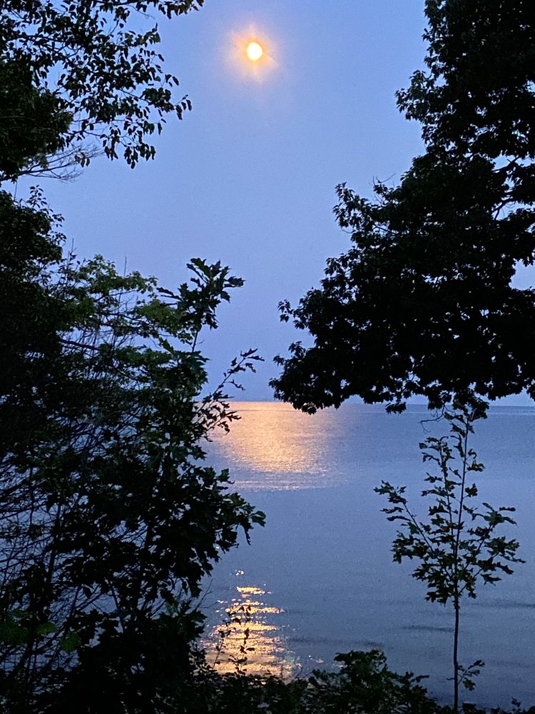 Looking up at the moon with moon light reflections in the lake framed by trees and brush