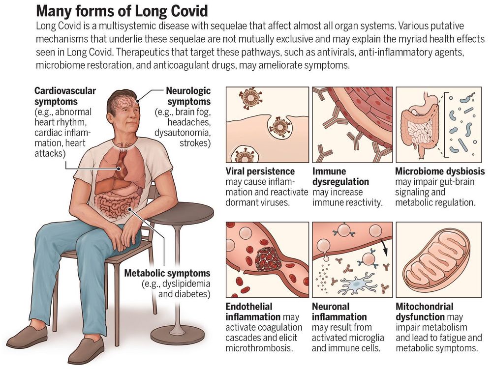 Many forms of Long Covid: Long Covid is a multisystemic disease with sequelae that affect almost all organ systems. Various putative mechanisms that underlie these sequelae are not mutually exclusive and may explain the myriad health effects seen in Long Covid. Therapeutics that target these pathways, such as antivirals, anti-inflammatory agents, microbiome restoration, and anticoagulant drugs, may ameliorate symptoms.