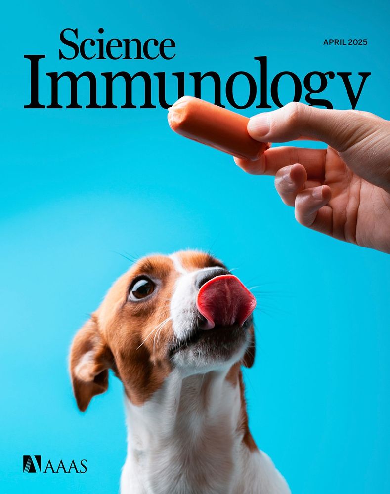 This month's Science Immunology cover features a hungry dog waiting patiently for a treat.