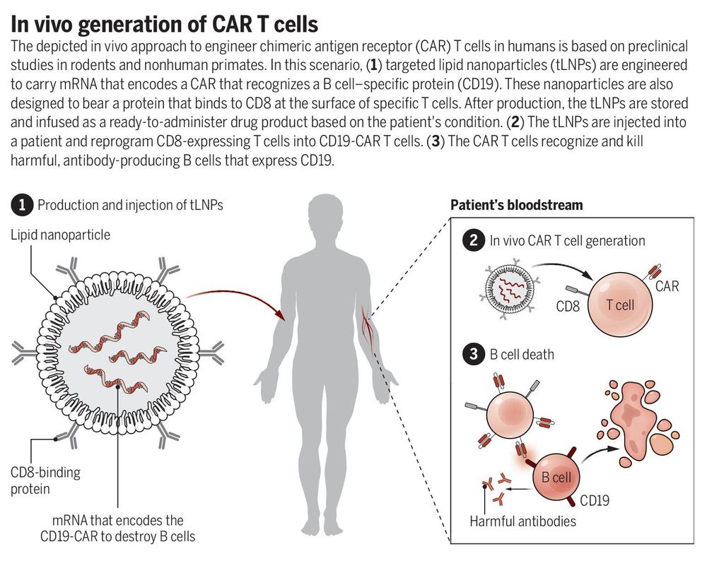 Graphic depicting in vivo generation of CAR T cells