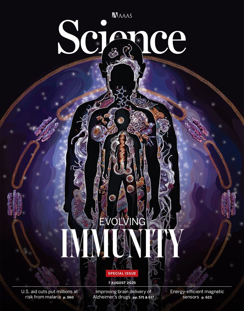 An illustration depicting the changes in the immune system throughout an individual’s life span, from infancy to childhood, adulthood, and older age. The infant silhouette contains DNA, and the figures are enveloped by the nuclear and plasma membranes.