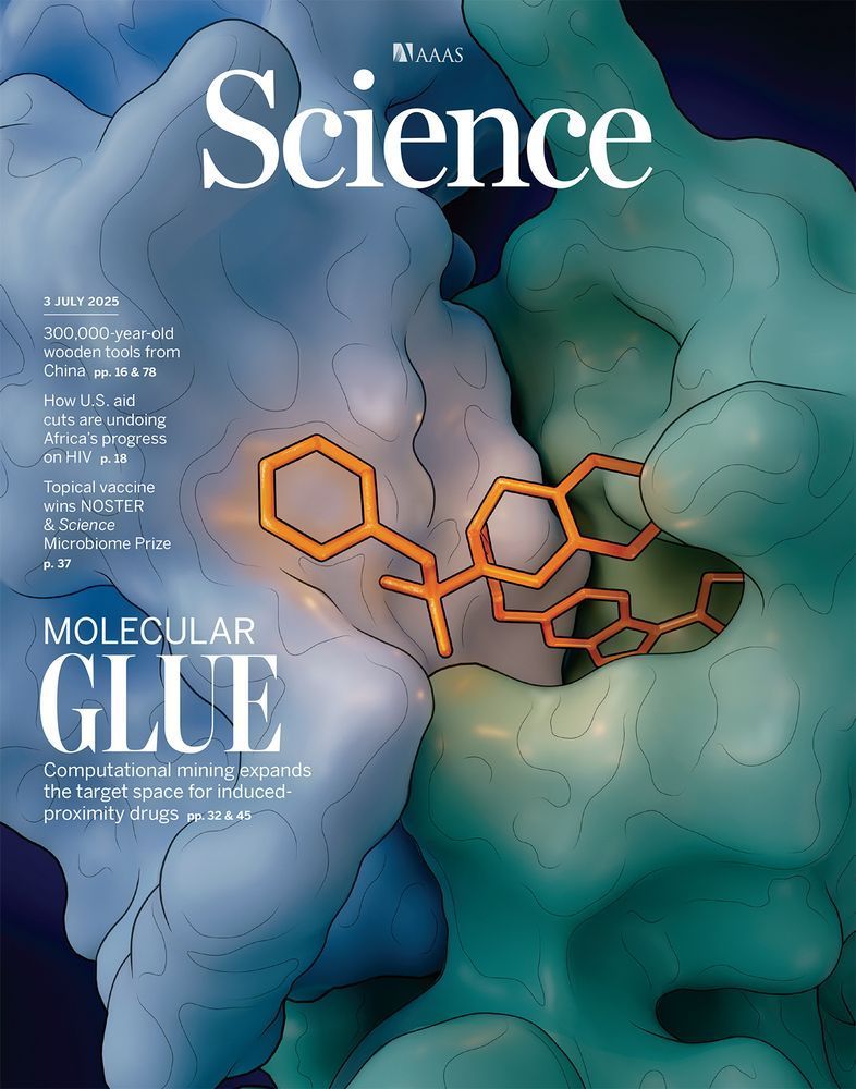 This illustration shows the interface of the kinase NEK7 (light blue) and the E3 ubiquitin ligase substrate receptor cereblon (teal). The interaction is facilitated by the small molecule MRT-3486 (orange). 