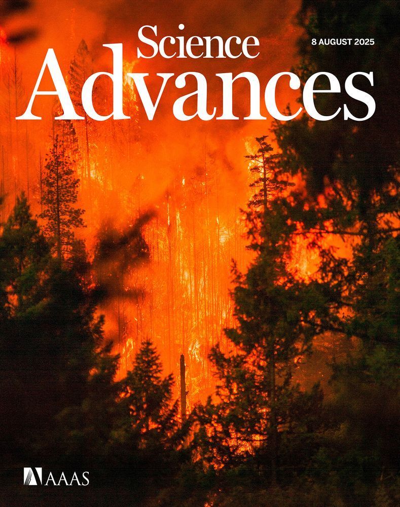 Flames burn through the Happy Camp Complex in California. 