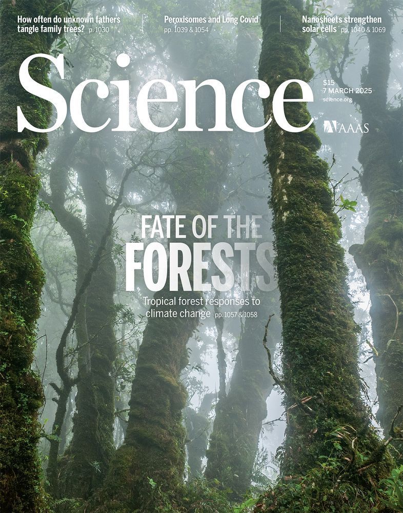 In Mesoamerican cloud forests, such as this one in the El Triunfo Biosphere Reserve in Mexico, climate change and deforestation are leading to plant species moving upslope. However, an analysis of forest plant traits from across the tropical Americas suggests that forests are not changing fast enough to keep up with climate change.
