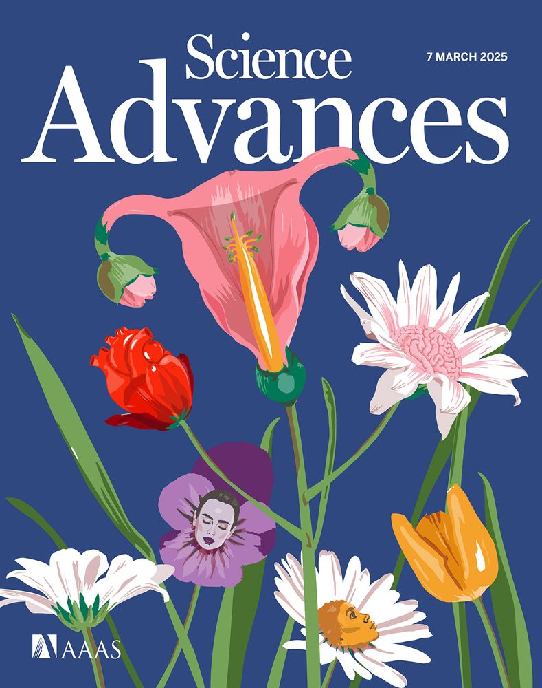 Science Advances’ special issue on women’s health highlights a growing wave of research focusing on women’s unique biological and psychological experiences. Articles cover a range of studies from the interplay between menopause and Alzheimer’s risk to the menstrual cycle’s influence on the brain-heart connection. It also describes the opportunities pregnancy provides to research aspects of both physical and mental health. By prioritizing women’s unique physiological and psychological experiences, research can expand the frontiers of knowledge in ways that benefit everyone.