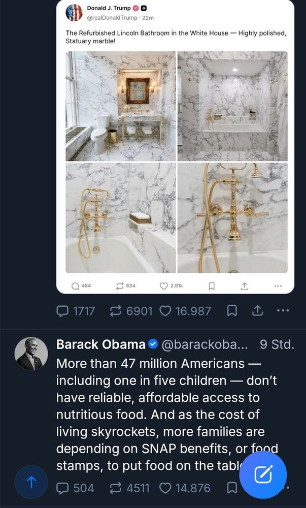 Top: Screenshot of Trumps Post on X showing his new bathroom.
Bottom: Obamas Post on Bluesky. "47 million - including 1 of 5 children - don't have reliable, affordable access to nutritious food ..."