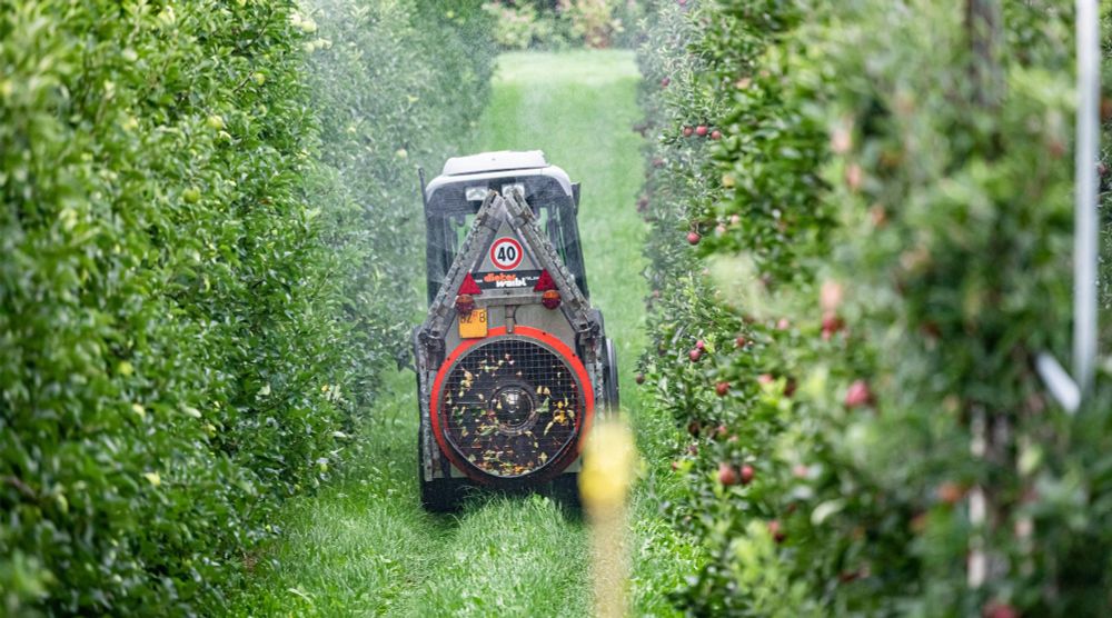 Bodensee-Äpfel: Pestizid-Grenzwert massiv erhöht