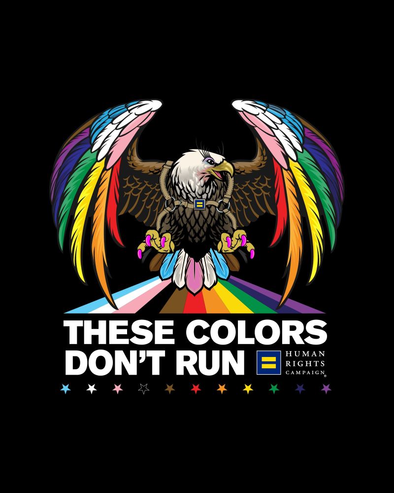On a black background, a bald eagle with wings and claws spread. The wing feathers are rainbow colored, the tail feathers are the colors representing trans pride, and the bird’s claws are painted hot pink. Below the bird it says “These colors don’t run” and the Human Rights Campaign logo is present. A row of stars in inclusive Pride colors is at the bottom of the image. 