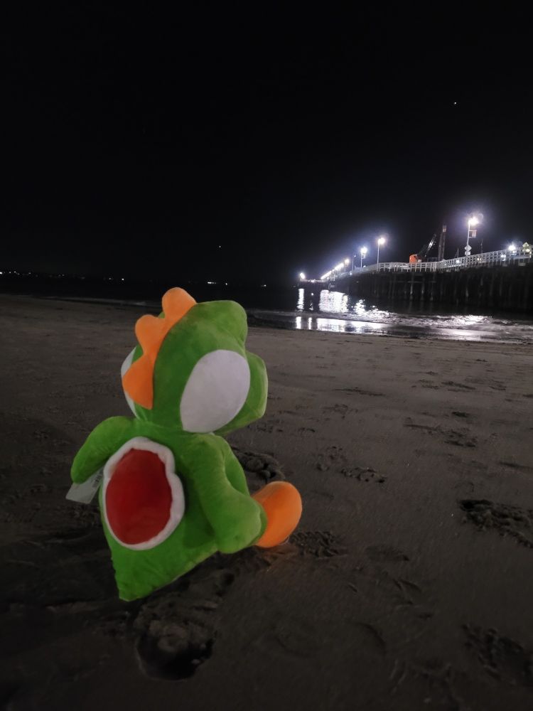 A sad looking yoshi plush looking out towards the ocean