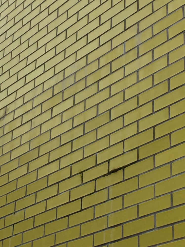A yellow brick wall. I was waiting for an appointment and it caught my eye. 