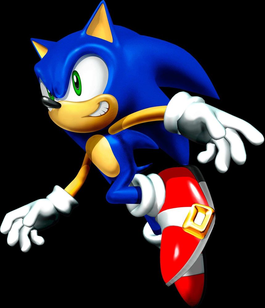 a sonic pose