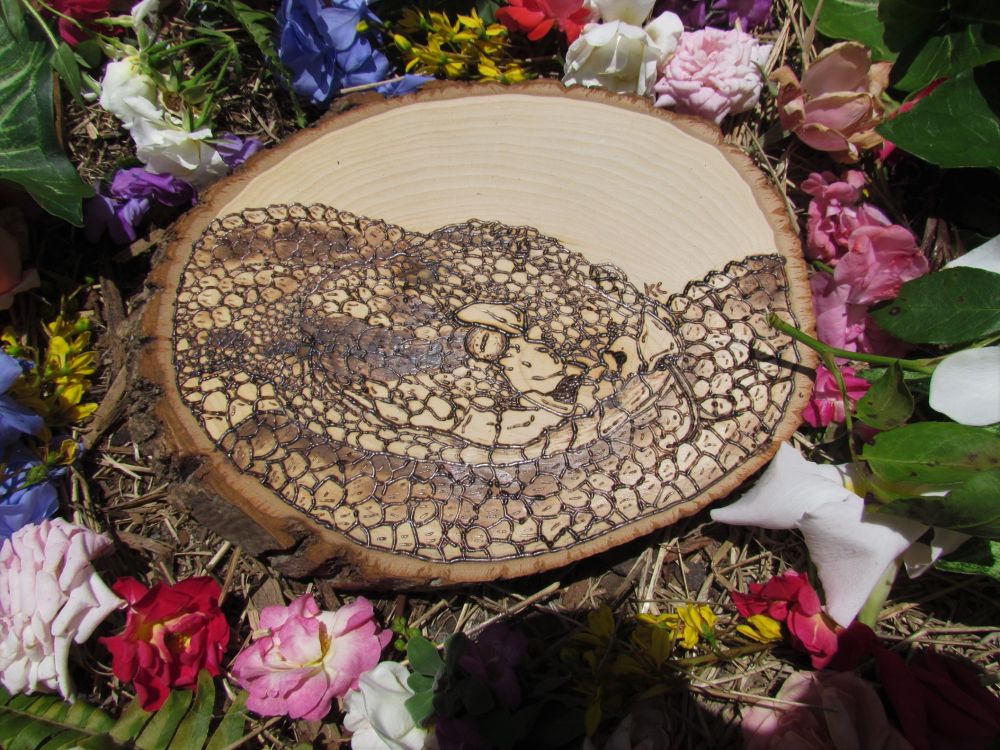 Bushmaster wood burning 